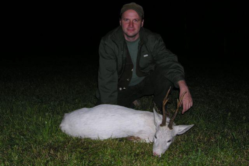 Poľovačka v Európe Poľovačka v Európe