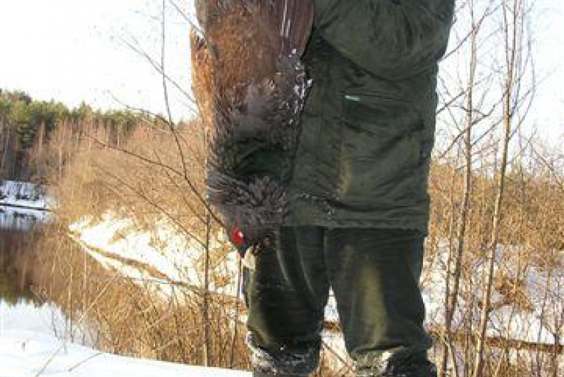 Poľovačka v Európe Poľovačka v Európe