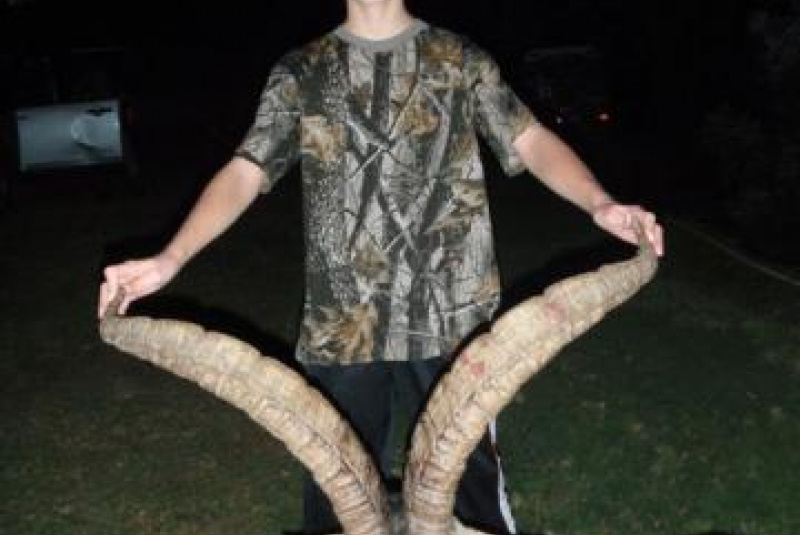 Poľovačka v Európe Poľovačka v Európe