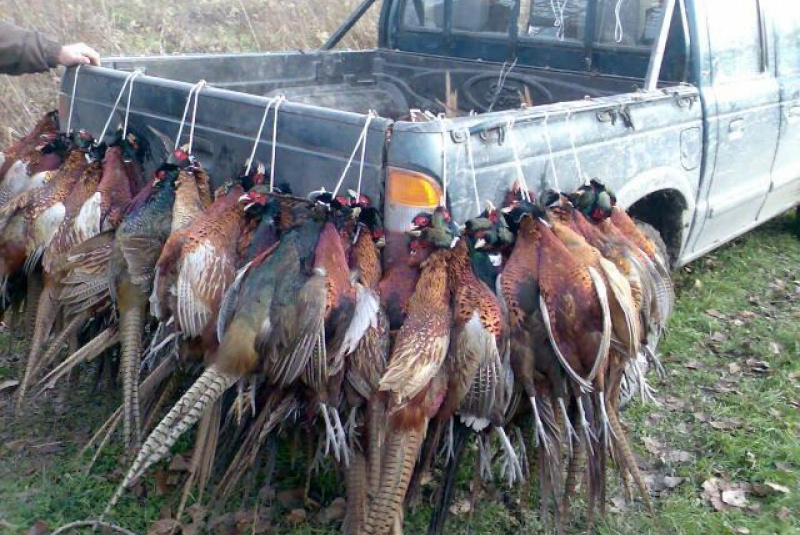 Poľovačka v Európe Poľovačka v Európe