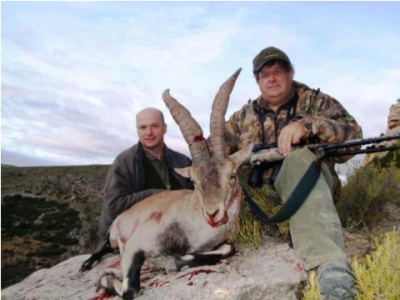 Lov kozorožca Beceite