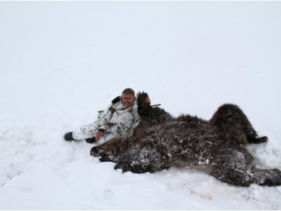 Lov medveďa na Kamčatke