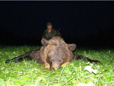 Poľovačka na medveďa a losa v európskej časti Ruska